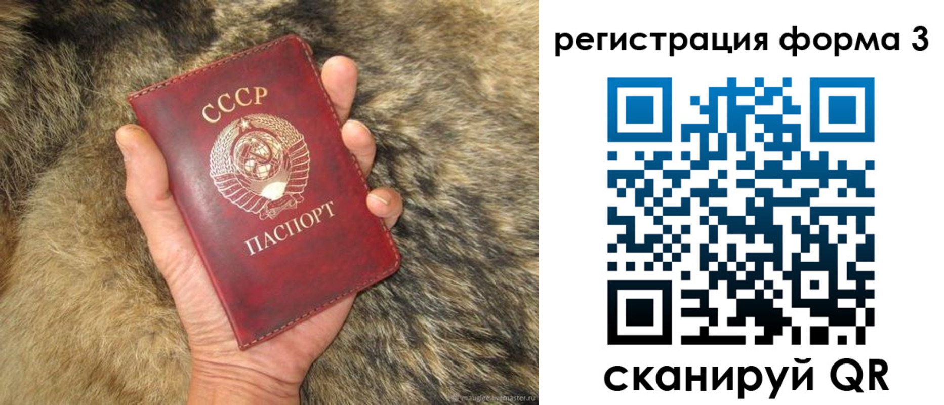регистрация для школы в Камышине